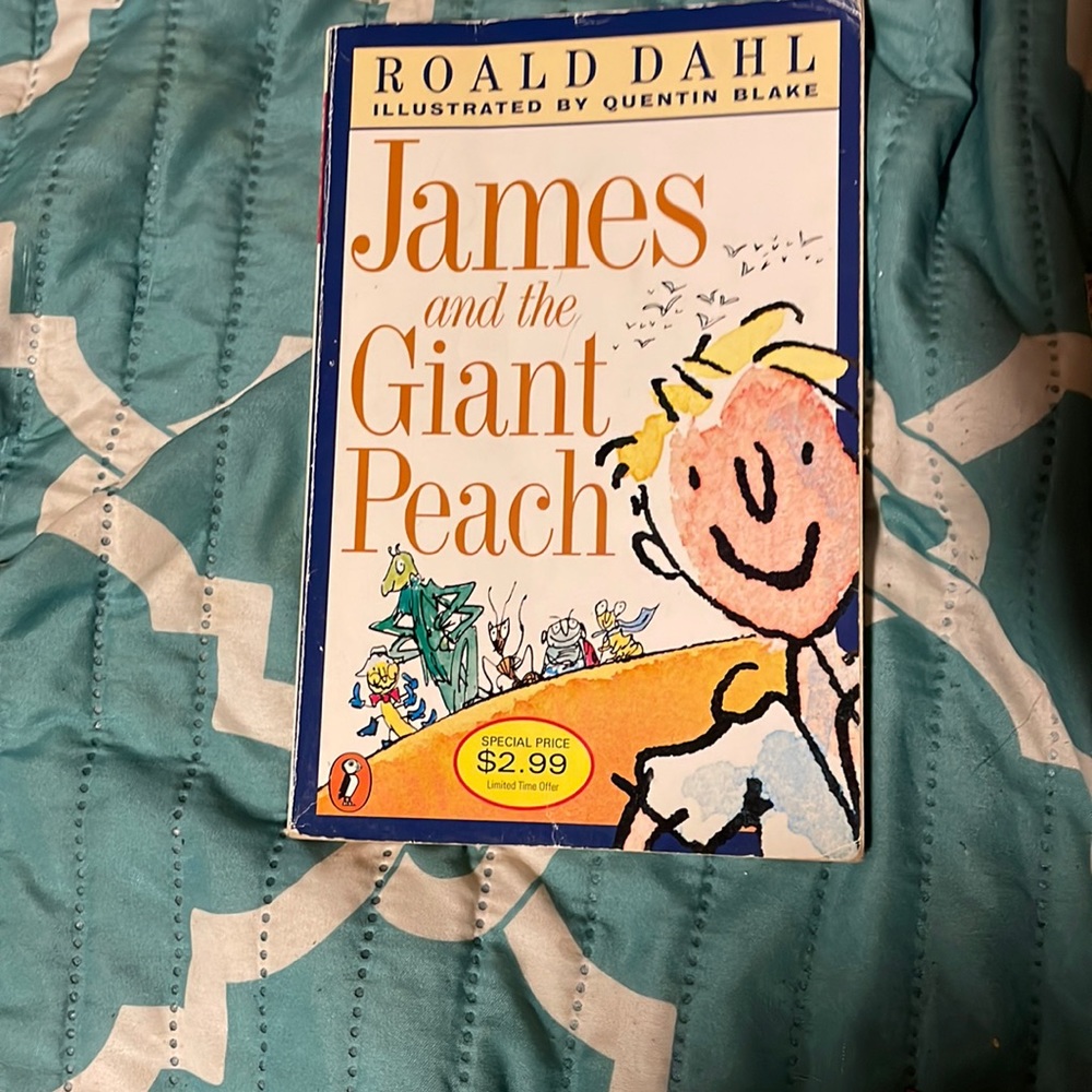 Book - Picture 1 of 8